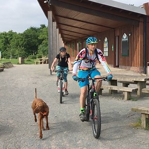 90K views · 70 reactions | Meet this adventurous dog and her owners, who work full-time but live for the weekend  | BBC Nottingham | Facebook