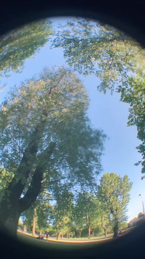 Traditional Chinese Tea Ceremony