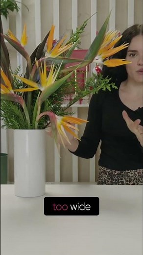 Bird of Paradise Flower Extraction: Unlock a Hidden Beauty!