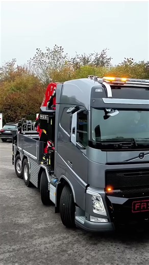 Used Crane for Sale: Palfinger and Other Brands