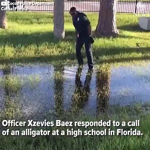 76K views · 285 reactions | "Never a dull moment" that's how the...