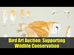Bird Art Auction: Supporting Wildlife Conservation