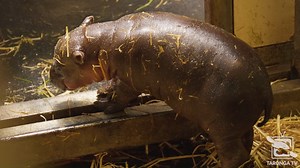 103K views · 12K reactions | Just in case you missed the news..we...