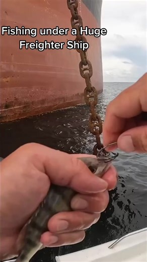 See what’s lurking under this huge Freighter #fishing #saltwater #offshore #saltwaterfishing #offshorefishing #boats #boatfishing #ships #bigships #youtubefishing #livebait #bigfish #cobia #ling