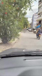 258K views · 1.6K reactions | Intol€ranc¡a entre dos conductores en el casco antiguo de Floridablanca | Lo Que Pasa En Bucaramanga y Colombia.com | Facebook