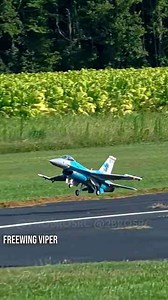 A Collection of RC Plane Landings