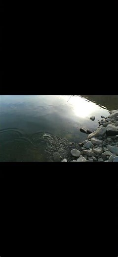 POV Crappie Fishing 🎣 | Action Cam Hookset