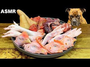 【大食い犬ASMR】骨付き肉をバキバキ噛み砕く音がたまらないwww MUKBANG Dog eats raw meat bones