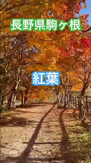 中央アルプス駒ヶ根高原を散策！池に映る秋の紅葉が贅沢すぎる