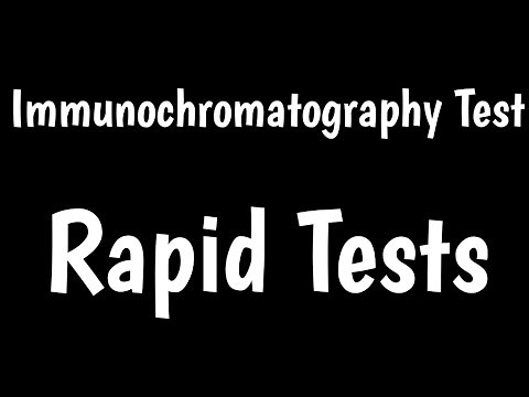 Rapid Tests | Immunochromatography Test | Lateral Flow Assay |