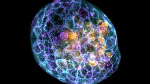 Scientists created 'synthetic embryos' without sperm or eggs. What are the legal and ethical implications?