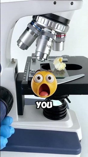 Popcorn Found Under the Microscope! 😱