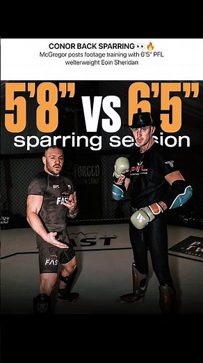 Conor is BACK! Sparring 6'5" PFL Fighter Eoin Sheridan