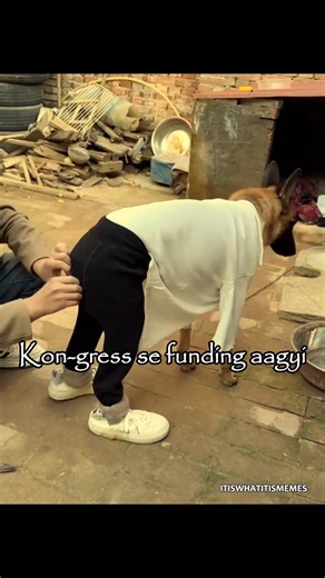 ItIsWhatItIs on Instagram: "kon? Here's the Recipe for Aloo paratha: For the Dough 2 cups whole wheat flour 1 tsp salt 2 tbsp gram flour ½ tsp carom seeds (ajwain) 1 tbsp ghee Water as required 2 tsp oil For the Filling 2 large potatoes, boiled and grated 1 inch ginger, grated 2-3 green chillies, finely chopped 1 tbsp fresh coriander leaves Salt to taste ½ tsp coriander powder 1 tsp chilli powder ½ tsp cumin powder 1 tsp garam masala ½ tsp dried fenugreek leaves ¼ tsp dry mango powder Ghee for r