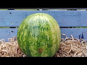 Water Melon Explosion 💥 (Stick Around For a the 🫢)