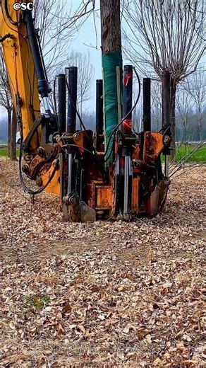 Tree Moving Machine is INSANE 🌳💥 #shorts #heavymachinery #satisfying