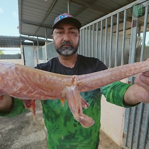 845K views · 20K reactions | Lizard Tail BBQ! Most Bizarre Food in Puerto Rico!  | Best Ever Food Review Show | Facebook