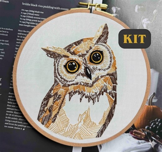 DIY Owl Embroidery Kit for Beginners - Modern Hand Embroidery Starter Kit - Nature Pattern Needlepoint - Wildlife Hoop Art - Craft Gift - Etsy