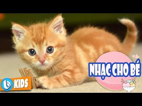 Con Mèo Con Chuột ♫ Nhạc Thiếu Nhi Vui Nhộn Hay Nhất