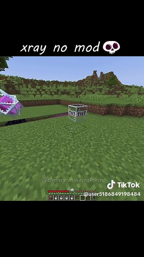 Minecraft X-ray without mods tutorial