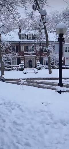 Christmas Vibes with Snow | Winter Aesthetic Video