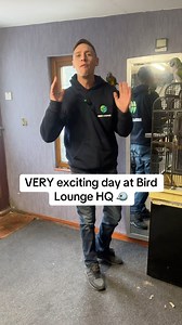 Very, very exciting day here at Bird Lounge HQ 🐦 Coco the Derbyan Parrot has officially arrived and is now part of the Bird Lounge flock, right here in the office. A huge thank you to Paul, one of our amazing followers, who kindly donated to make this possible. This is exactly what the bird community is about — supporting each other and growing the bird world together. Coco will be featured across the Bird Lounge as we share parrot care, aviary life, and behind-the-scenes bird content. Welcome 