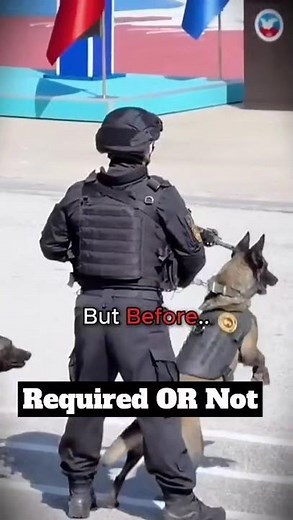 War dogs then VS Now #required or not #army #military #armedforces #motivation