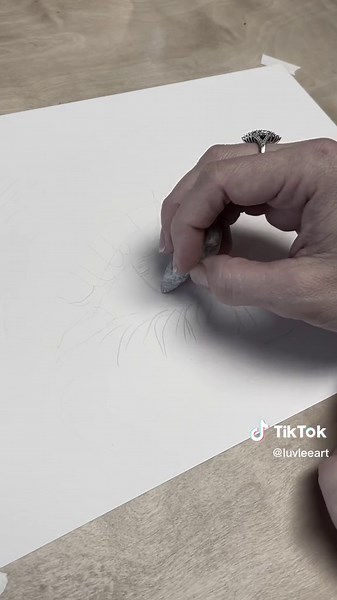 Realistic Eye Drawing Tutorial Using PanPastels and Charcoal