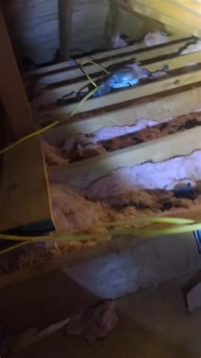 🏡 Professional Pest Control Services – Safe, Effective, and Reliable! 🦟🐜 Are pests invading your home or business? Don’t let unwanted guests disrupt your peace! Our expert pest control services ensure a clean, safe, and pest-free environment using eco-friendly and effective treatments. ✅ Comprehensive Pest Removal – Termites, cockroaches, rodents, bed bugs & more ✅ Safe for Families & Pets – Non-toxic, eco-friendly solutions ✅ Licensed & Experienced Professionals – Trusted service, guaranteed