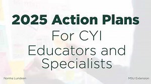 2025 Action Plans - CYI Educators and Specialists