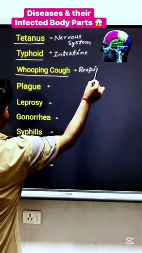 Human Diseases and the Organs They Affect (Quick Learning) #shorts #shortvideo