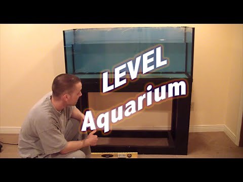 HOW TO: Level an Aquarium
