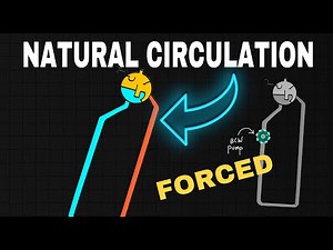 Natural vs Forced Circulation Boilers - Which is BETTER?