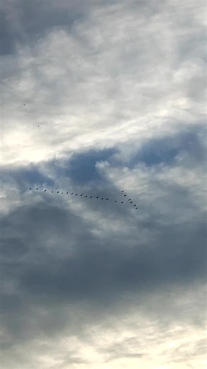 Good morning 🌞🌄 | Rodrick Alexander