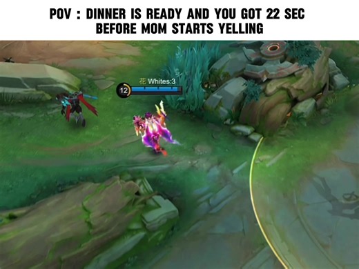 Did We Make It in Mobile Legends?