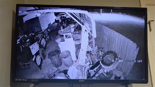 4.6K views | Tim Duncan on Reels | Facebook