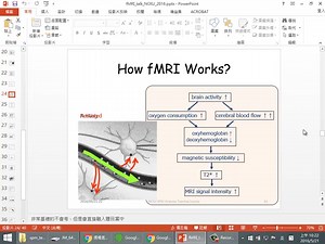 [LearnthingPSY搬运]fMRI实验设计原理