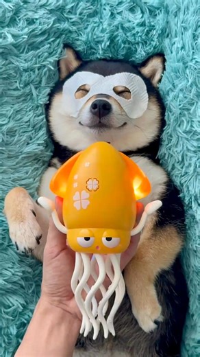 15K views · 363 reactions | #Puppy Spa Day! Who says spas are just for humans—even puppies deserve a simple spa too! (cr: douyin manyugogogo) | T-Time HK | Facebook