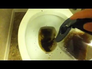 Delta Prelude Toilet After Install