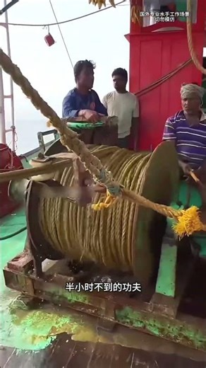 Extreme Purse Seine Fishing in Sri Lanka | Massive Trevally Catch #shorts