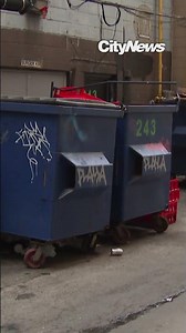 Toronto clinches top spot again for Canada's 'rattiest' city