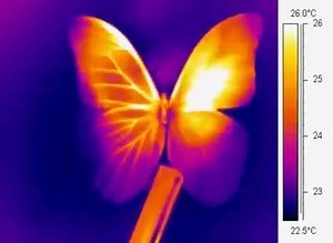 We're working towards a brighter, more efficient future. Check out some of the innovations we're developing in 2017. | GE