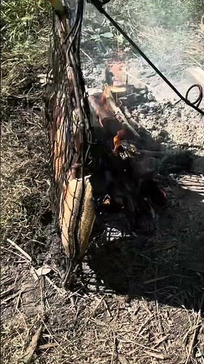 Pescado ASADO a la estaca al lado del río, PESCA POV
