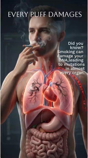 What Happens to Your Lungs When You Smoke I #AIPromoTips #lungs #smoke #smoker #3danatomy #reels