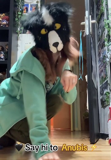 My second ever canine mask! Anubis is a border collie :) #cosmosonpaws #cosmos #therian #therianthropy #catmask #fyp #theriantiktok #mask #quadrobics