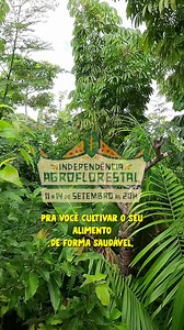 291K views · 164 reactions |  Você acredita que da para desenvolver um sistema de abundancia sem irrigação? Entre os dias 13 a 16 de novembro, eu vou fazer um evento 100% online e gratuito chamado Geração Agrofloresta, onde eu vou te ensinar as técnicas que você precisa para produzir o seu alimento de forma mais saudável e eficiente, utilizando as leis da natureza. Clica no botão e faça sua inscrição agora mesmo. | Antônio Gomides Floresta | Facebook
