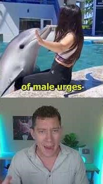 Teaching Dolphins To Speak English Was A DISASTER!
