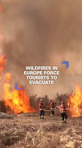 19K views · 235 reactions | Wildfires have been spreading across Europe — from Scotland to Italy — forcing authorities to evacuate both tourists and residents, and resulting in at least one casualty in Spain. According to official data, Europe has experienced more than twice as many fires by mid-August compared to the average in recent decades. https://cnn.it/4lmkRKJ | CNN International | Facebook