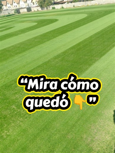 Corte en Cancha 4: Toro Reelmaster 3100D