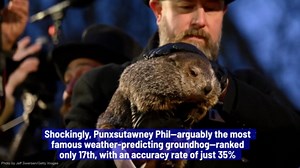New Study Ranks Groundhogs For Weather Predicting Accuracy